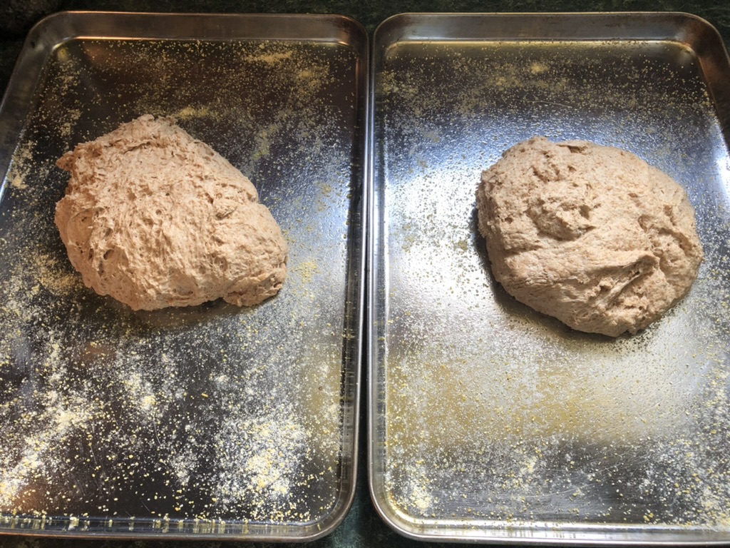 pizza dough divided onto baking sheets