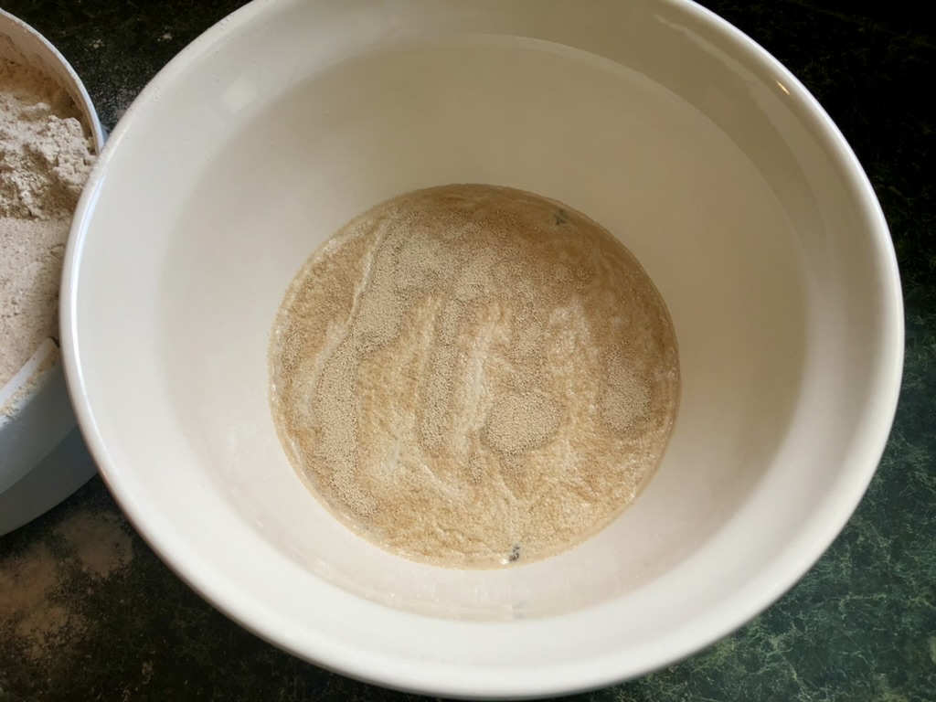 yeast proofing